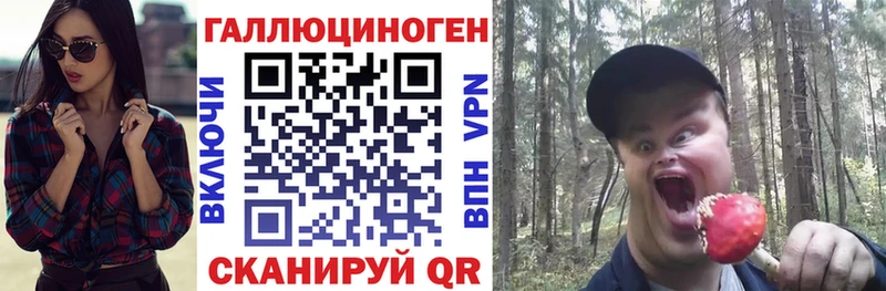 где купить наркоту Венёв Галлюциногенные грибы Psilocybine cubensis